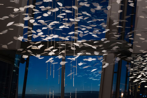 This Christmas feature was a collaboration between Timothy Hatton Architects and Sir David Attenborough