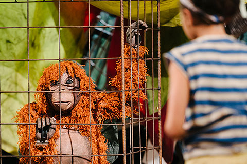 Running Wild is now touring theatres across the UK (photo: Dan Tsantilis)