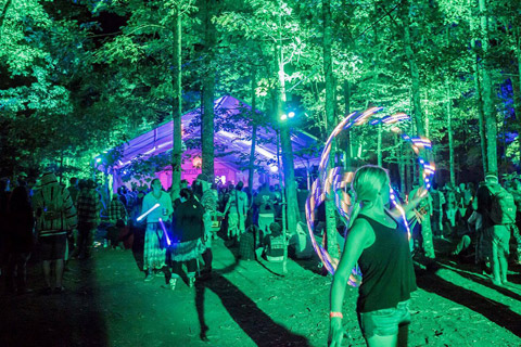 The glowing forest provided a colourful backdrop for the music on the stage