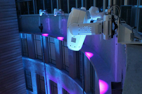 The museum features a rich collection of New Zealand natural and historical artefacts