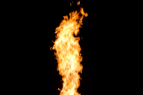 The Wireless Salamander Quad Pro will be on debut