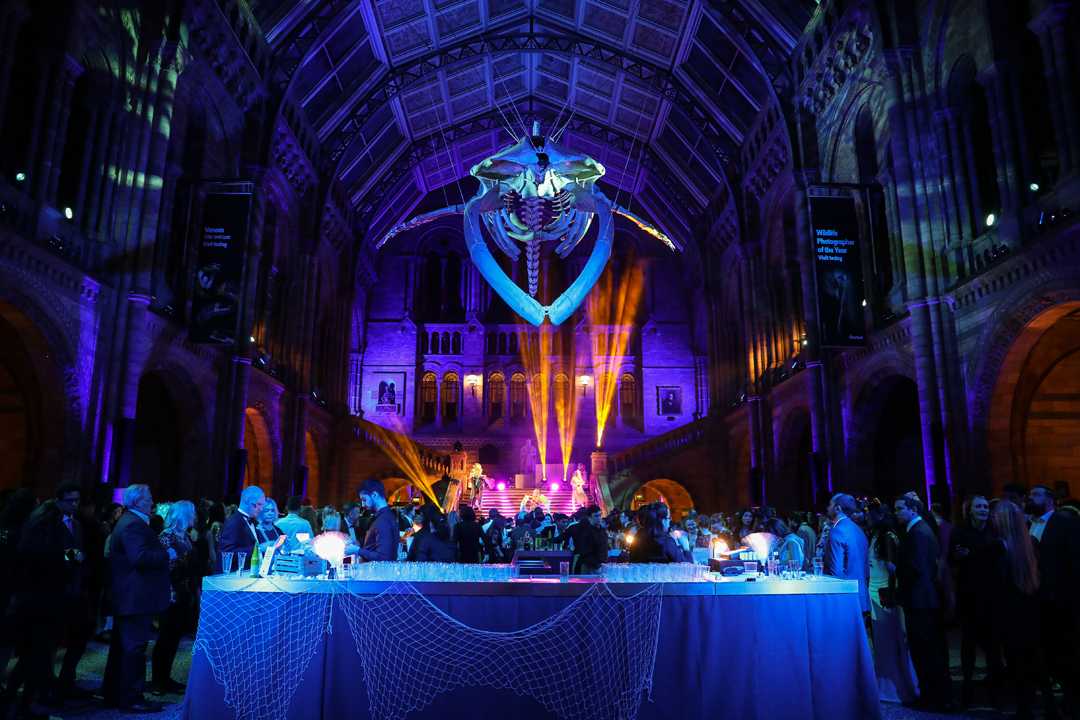 The evening saw ‘celebrations of oceanic proportions’