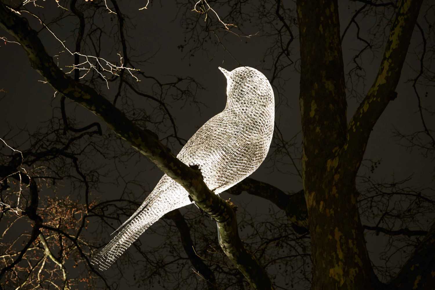 Lumiere London took to the capital to bring the biggest ever festival of light to the city's streets