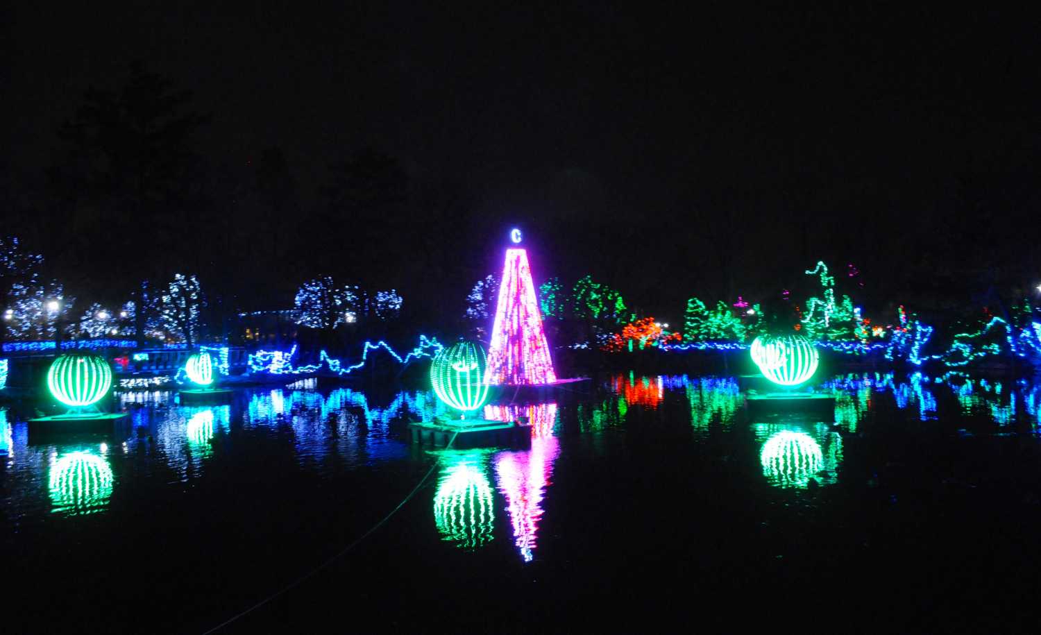 The zoo went up to 50 DEVA units, just in time for its major Festival of Lights holiday event