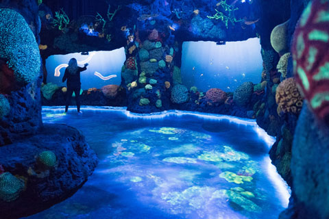 Adding to the immersive environment in the multi-room experience is an elaborate lighting design