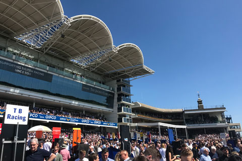 Newmarket - the home of horse racing