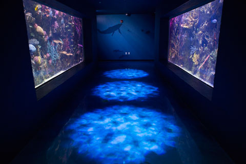 Visual Productions lighting controllers provide a robust and easy to deploy system