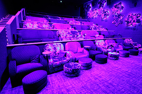 Each of the three cinemas has 12 Ambianes recessed in the ceiling