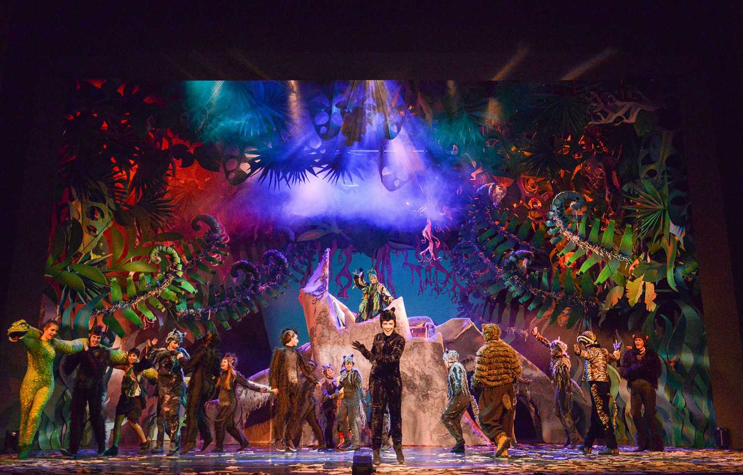 The Jungle Book at the Istrian National Theatre (photo: Sasa Miljevic)