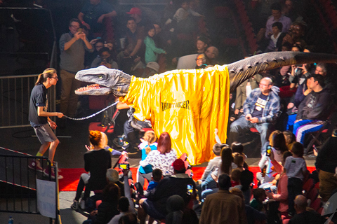 And in the yellow corner . . .