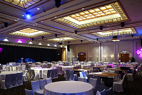 The Grand Copthorne selected Martin fixtures