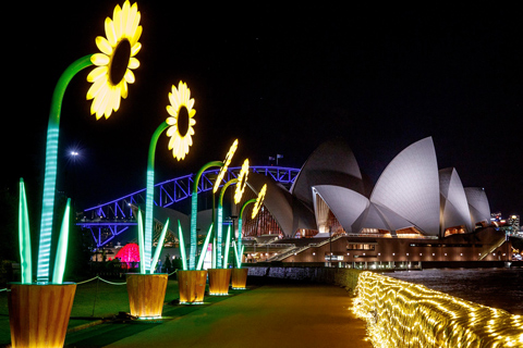 Vivid Light Sydney