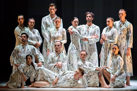 The Kamea Dance Company is home to 14 versatile dancers