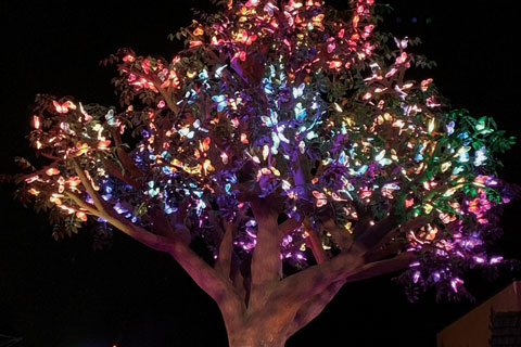 The Wildwood Tree at Dollywood