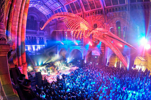 Live in the Natural History Museum