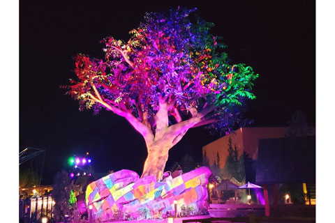 A collection of 650 pixel mapped and illuminated butterflies animate the venerable tree’s branches