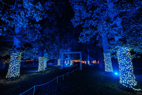 The Land of Light featured a host of bespoke creations