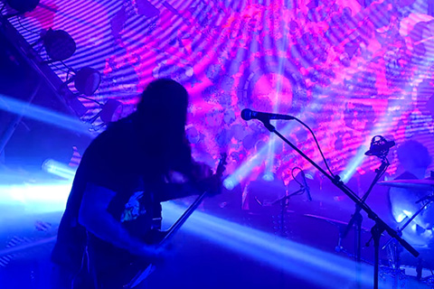 Fister live in St Louis