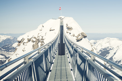 Dominic Schilt’s clients include the Royal Hotel Gstaad Palace and numerous chalet owners in the Swiss Alps