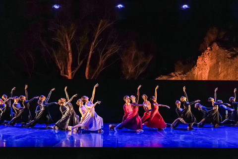 Ballet at the Quarry