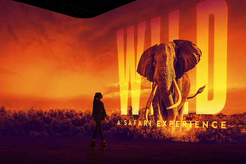 On the elephant trail in Atlanta