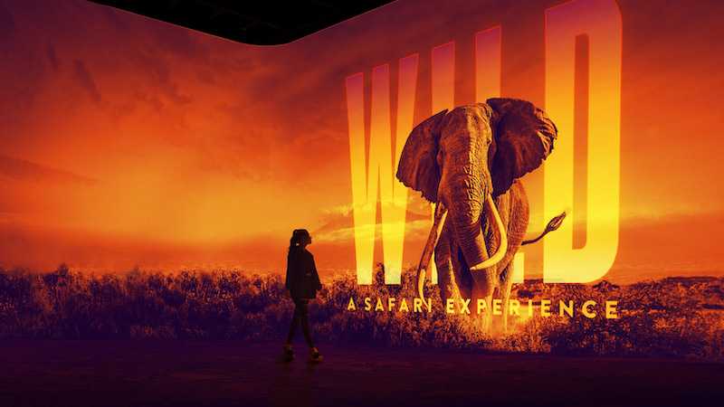 On the elephant trail in Atlanta