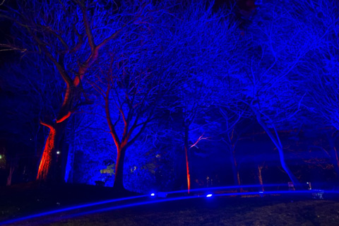 The showcase ‘totally transformed the landscape’