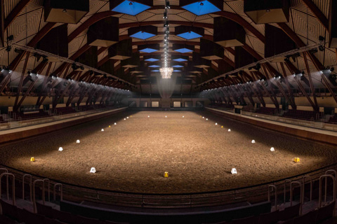 The Grand Manège du Cadre Noir de Saumur IFCE (photo Christian Desaivre)