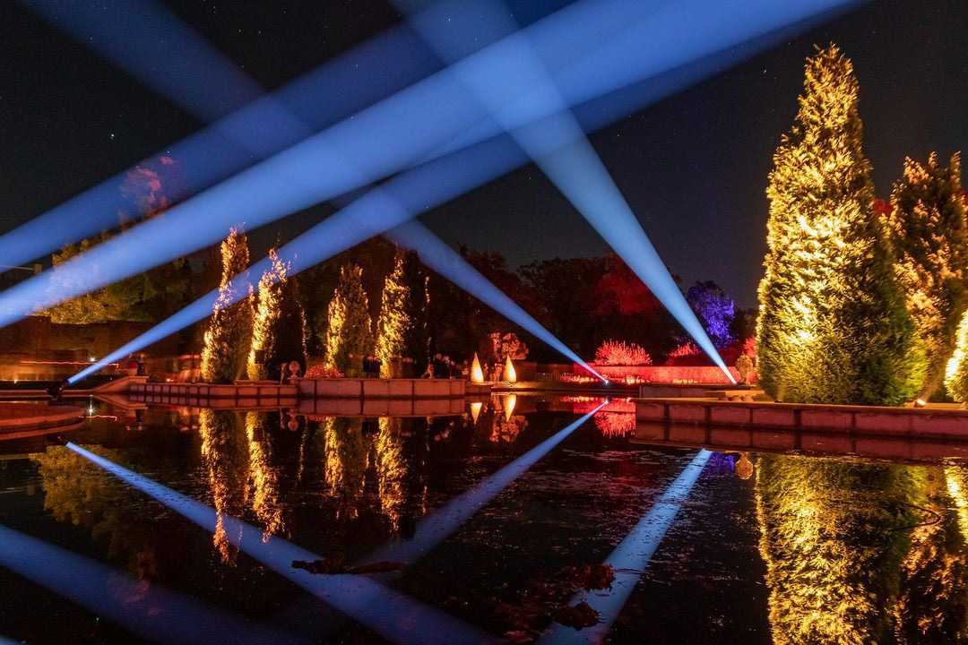 In the Enchanted Gardens