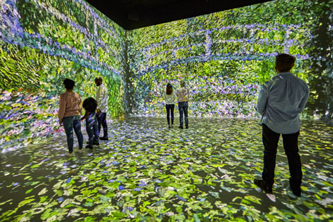 Visitors are plunged right into the heart of works of art (photo: Montana Lowery)