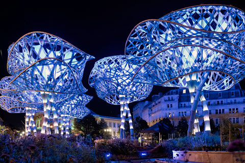 The forest celebrated the colour, existential beauty, delicacy, and adaptability of horticultural life (photo: PoliNations)