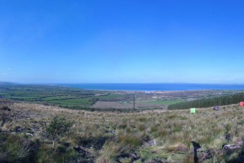 The first step of the partnership will see The Inside Story team travel to Ireland to plant its first trees