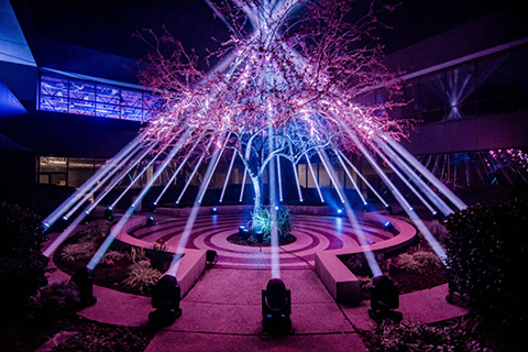 The Xtylos fixtures were positioned on the courtyard floor to showcase their upward reach