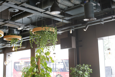 Navigating the intricate spatial layout of the restaurant posed a challenge