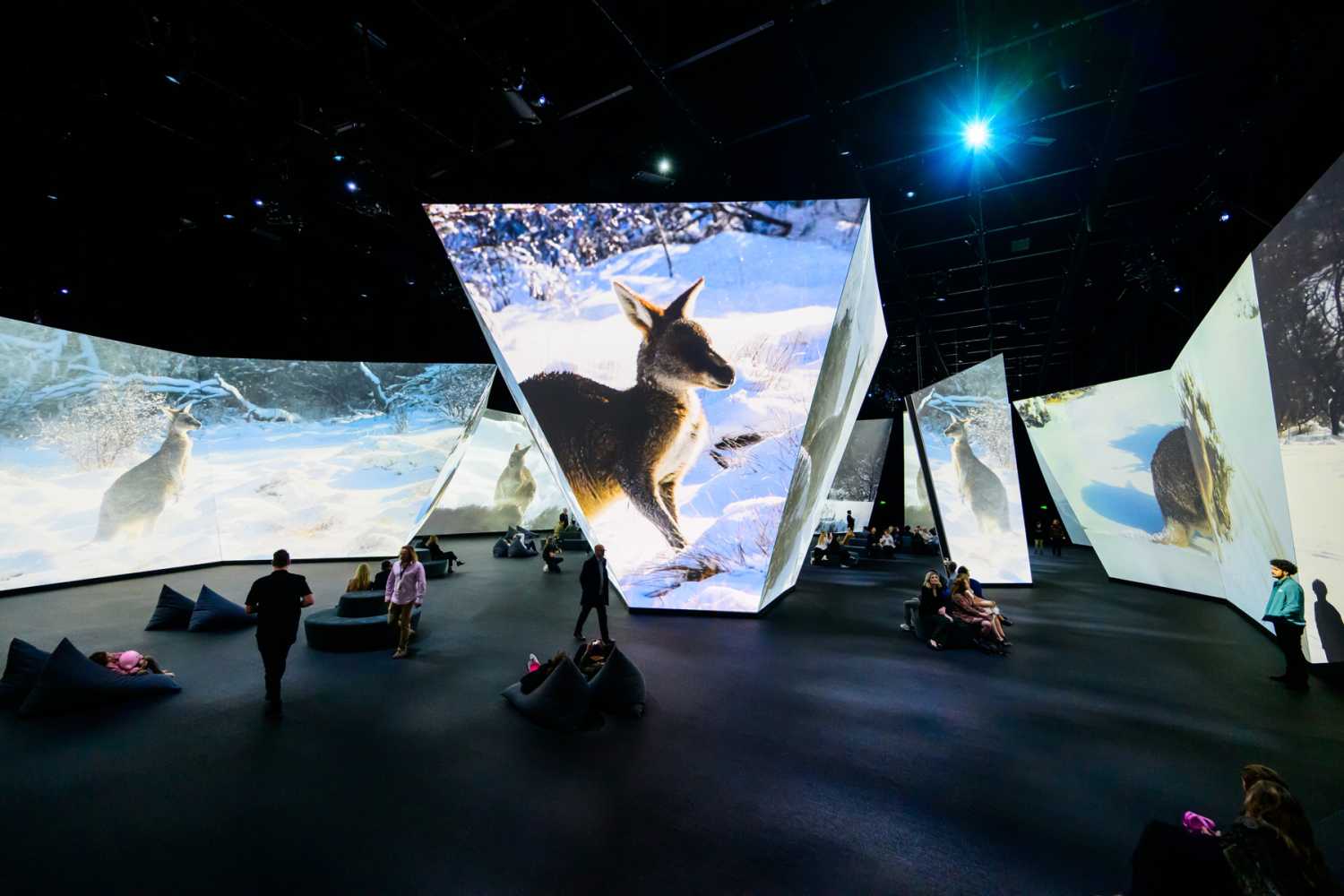 The multi-room digital art experience guides visitors through Earth's diverse ecosystems